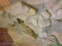 /album/auftragsarbeiten-wandmalerei/dsc00526-4-jpg/